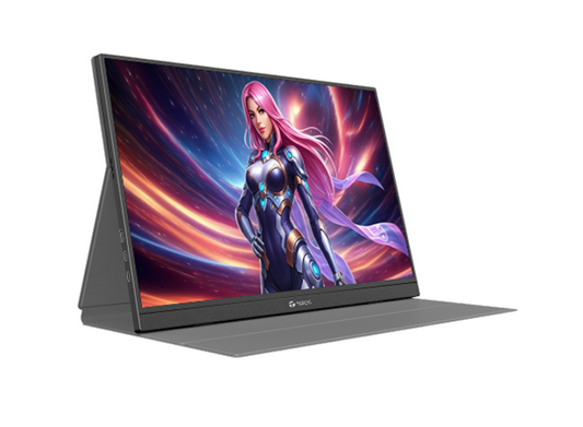 DS156A monitor 15.6 - TE-1501