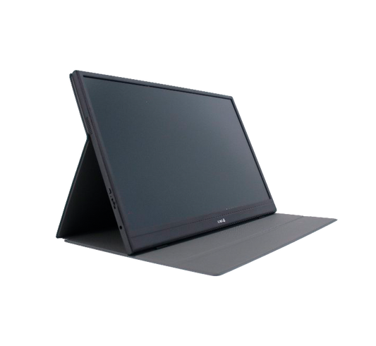 DS156A monitor 15.6 - TE-1501